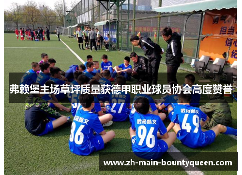 弗赖堡主场草坪质量获德甲职业球员协会高度赞誉 弗赖堡主场草坪质量获德甲职业球员协会高度赞誉