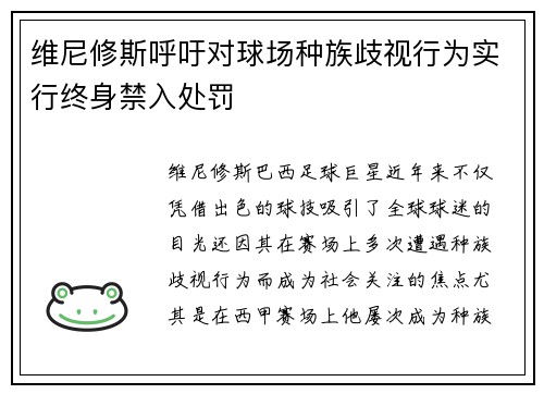 维尼修斯呼吁对球场种族歧视行为实行终身禁入处罚