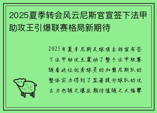 2025夏季转会风云尼斯官宣签下法甲助攻王引爆联赛格局新期待